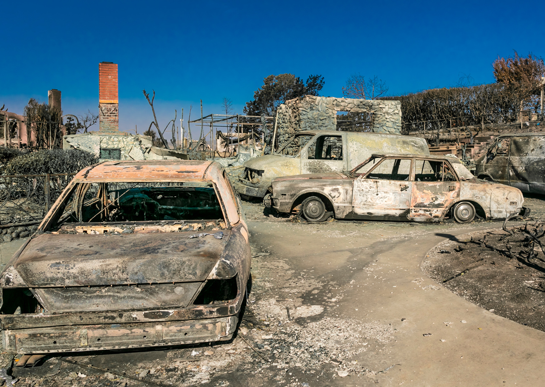 SafeGuard-Nature-Donation