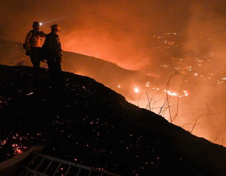 Safeguard Nature - The Devastating Impact of the 2020 Bay Area Fire in California