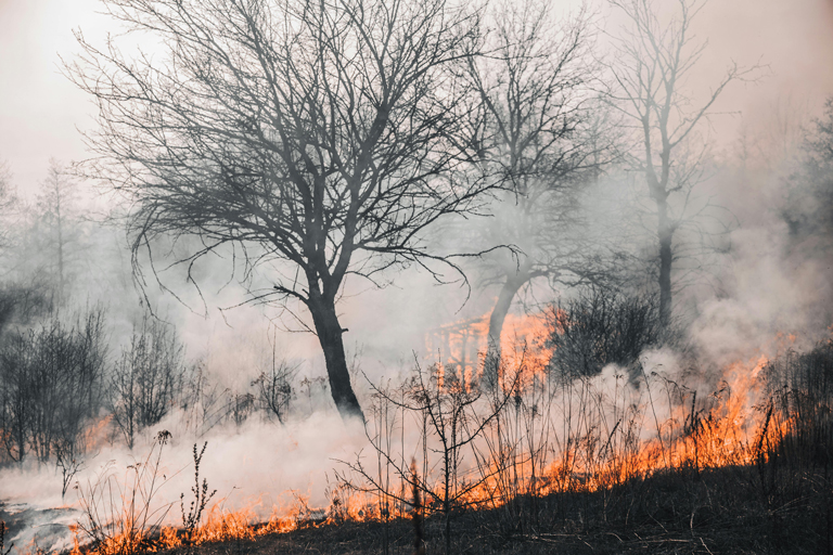 The-Devastating-Impact-of-the-2020-Bay-Area-Fire-in-California